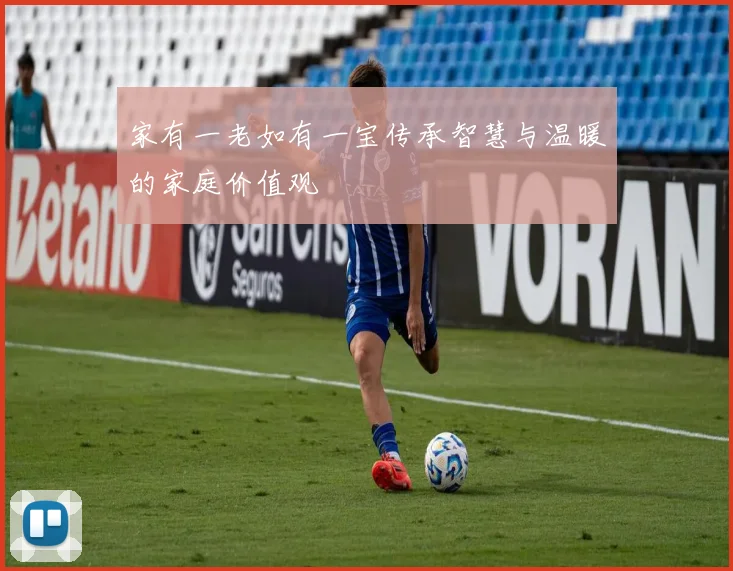 家有一老如有一宝传承智慧与温暖的家庭价值观