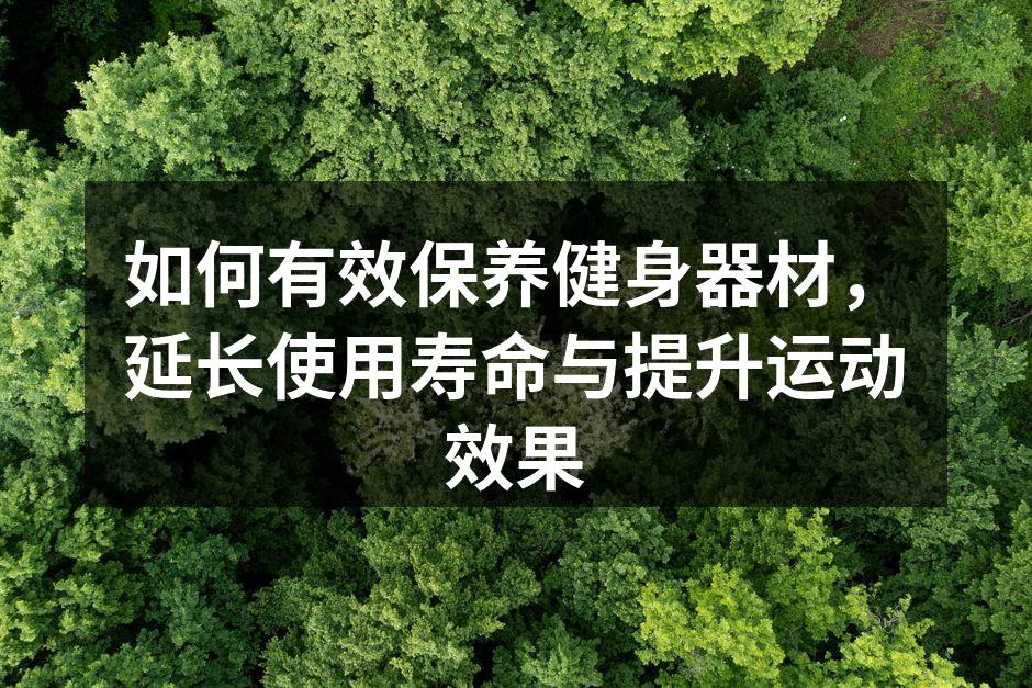 如何有效保养健身器材，延长使用寿命与提升运动效果