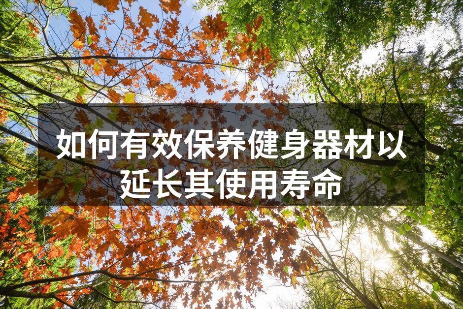 如何有效保养健身器材以延长其使用寿命