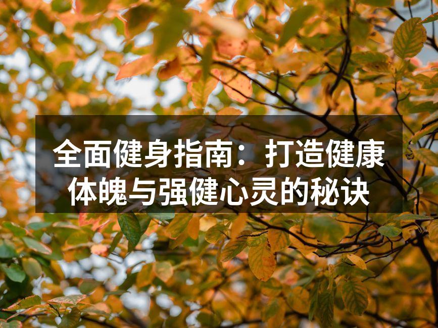 全面健身指南：打造健康体魄与强健心灵的秘诀